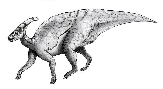 Image:Sketch parasaurolophus.jpg