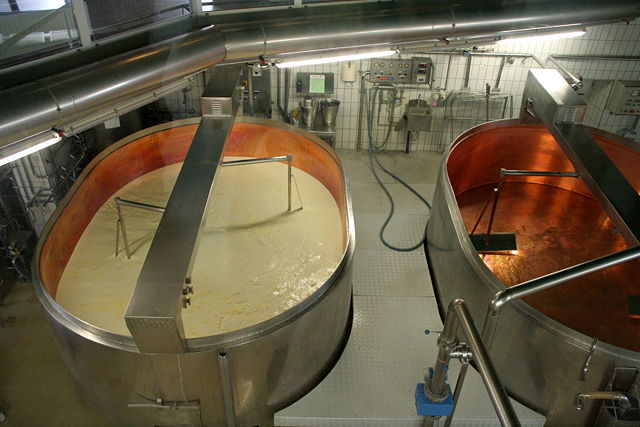 Image:Production of cheese 1.jpg