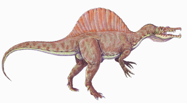 Image:Spinosaurus1DBa.png