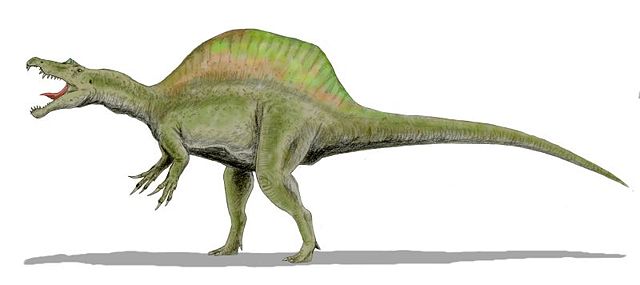Image:Spinosaurus BW.jpg
