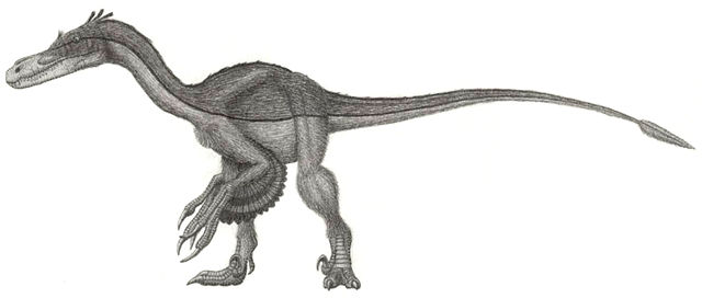Image:Velociraptor mongoliensis jmallon.jpg