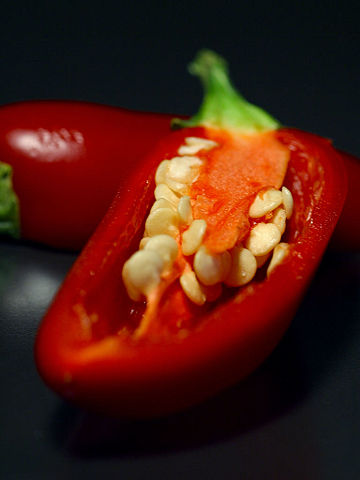 Image:Capsicum0.jpg