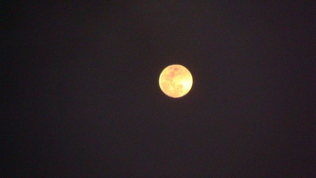 Image:Full moon night.JPG