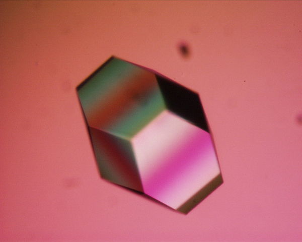 Image:Lysozyme crystal1.JPG