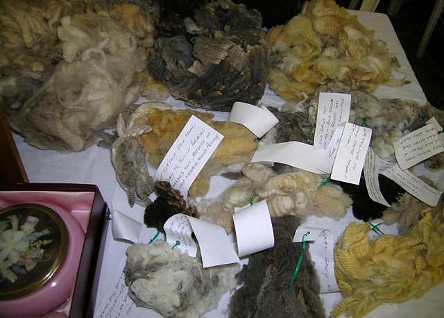 Image:Wool samples 2.JPG