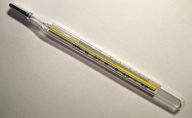 Image:Clinical thermometer 38.7.JPG