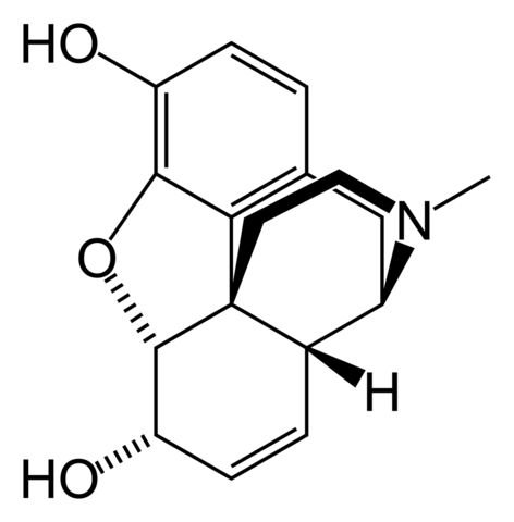 Image:Morphine-2D-skeletal.png