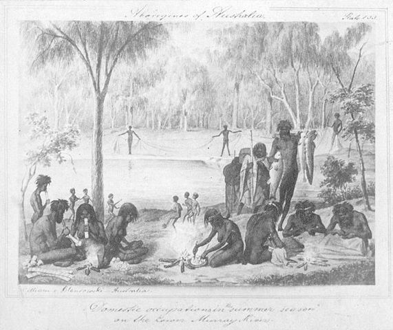 Image:Marn grook illustration 1857.jpg