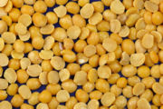 Dry, yellow split peas