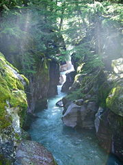 Taken on Trail of the Cedars Bridge