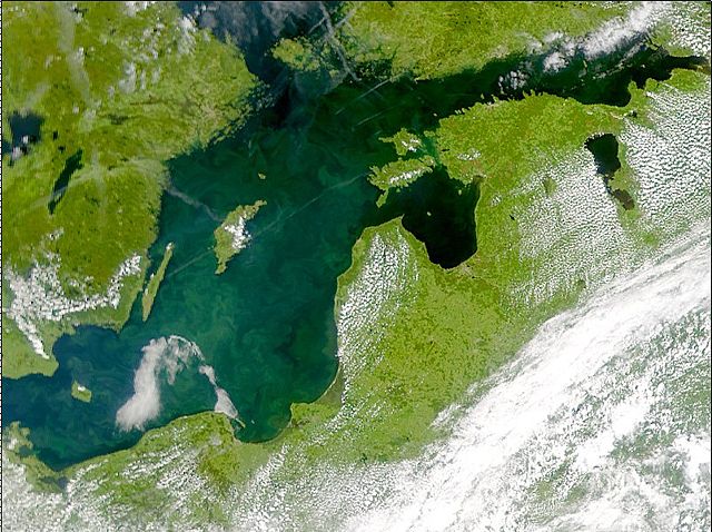Image:Phytoplankton bloom in the Baltic Sea (July 3, 2001).jpg