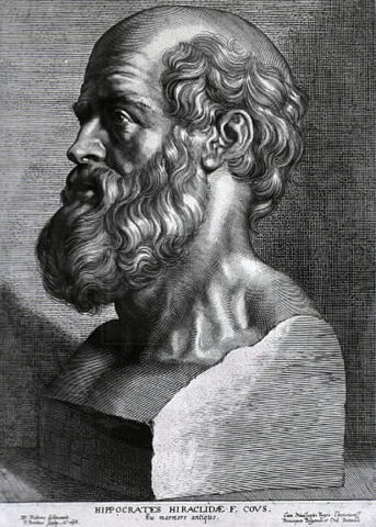 Image:Hippocrates rubens.jpg
