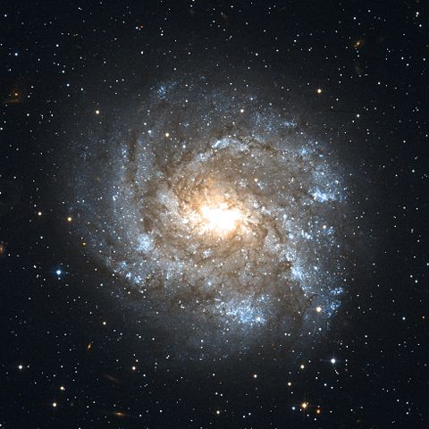 Image:NGC 2082 Hubble WikiSky.jpg
