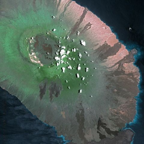 Image:Galapagos SPOT 1178.jpg