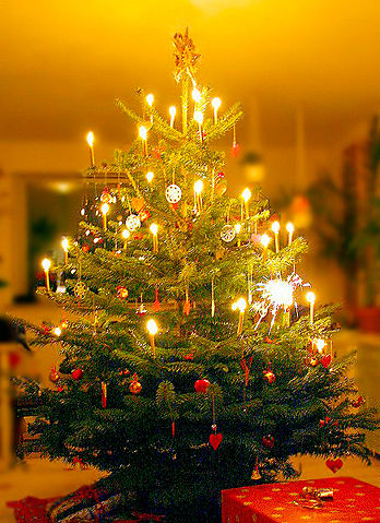 Image:Juletræet.jpg