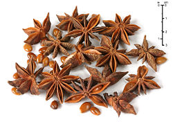 Star anise fruits (Illicium verum)