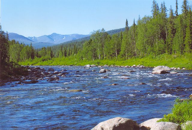 Image:River near Saranpaul.jpg