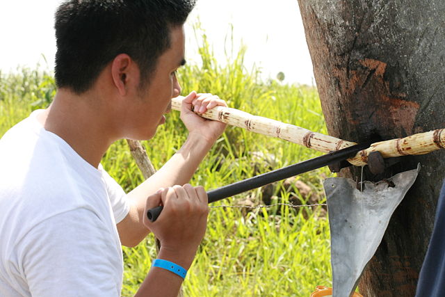 Image:Sugarcane drink.JPG