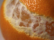 Clementines have thinner skins than oranges.