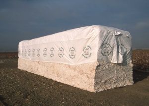 Cotton module, California, USA, 2002