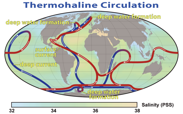 Image:Thermohaline Circulation 2.png