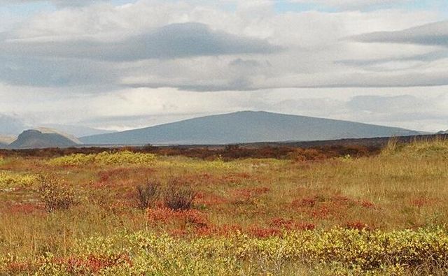 Image:Skjaldbreidur Herbst 2004.jpg