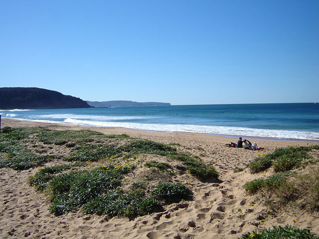 Image:Palmbeach.JPG