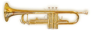 A trumpet, perhaps the most famous brass instrument.