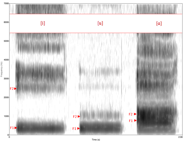 Image:Spectrogram -iua-.png
