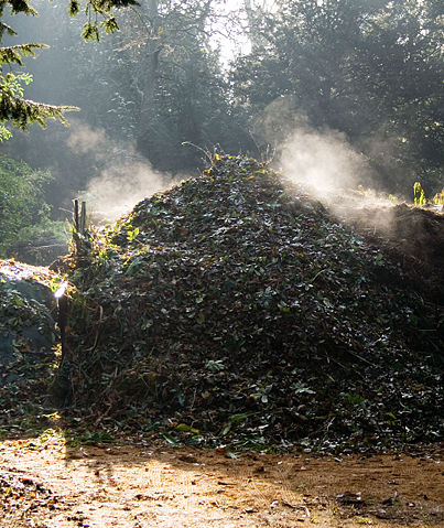 Image:Compost Heap.jpg