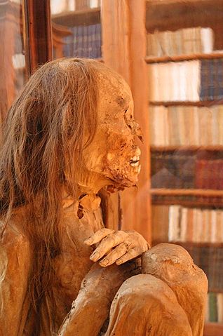 Image:Peruvian mummy.jpg