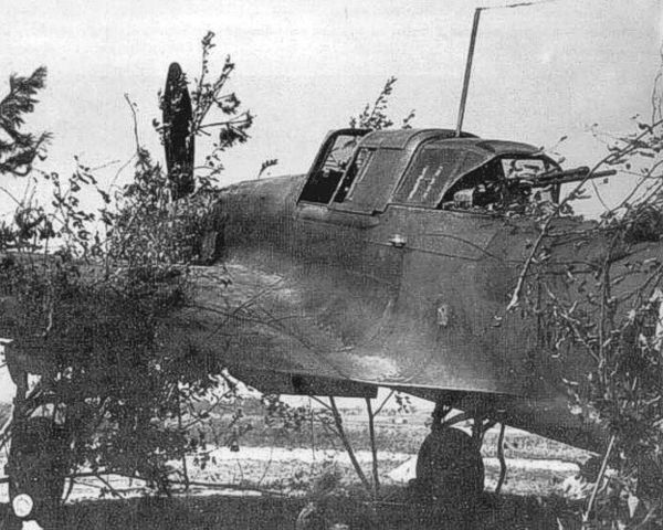 Image:A camouflaged Il-2 ground attack aircraft.jpg