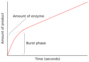 Pre-steady state progress curve, showing the burst phase of an enzyme reaction.