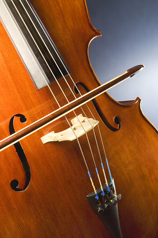 Image:Cello study.jpg