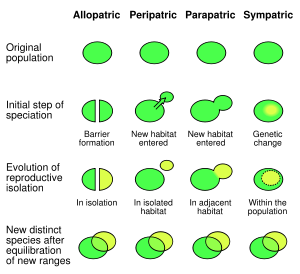 The four mechanisms of speciation.