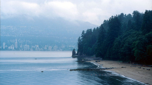 Image:Stanley Park 1999 Rain.jpg