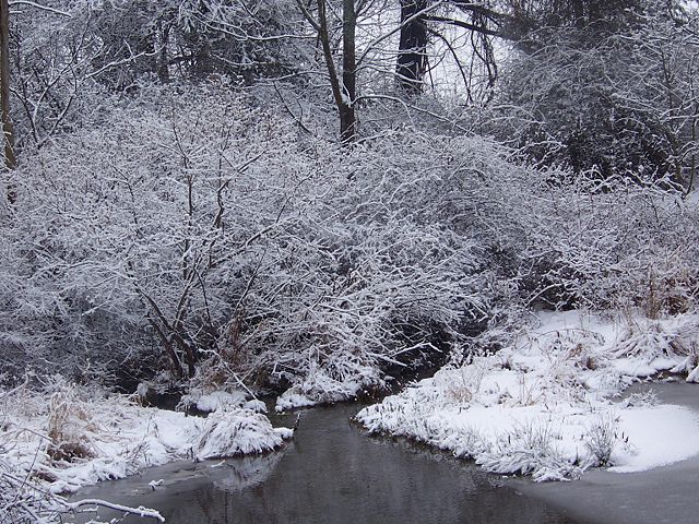 Image:Winter December 2007 with Pond.jpg