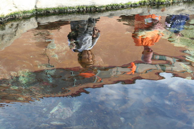 Image:Photo of two people reflected in a fish pond.JPG