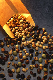 Soybeans are used as a source of biodiesel