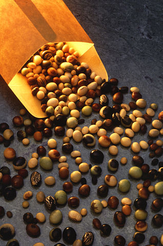 Image:Soybeanvarieties.jpg