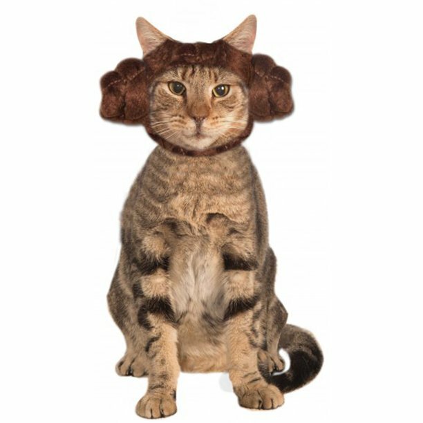 cat in princess leia halloween costume