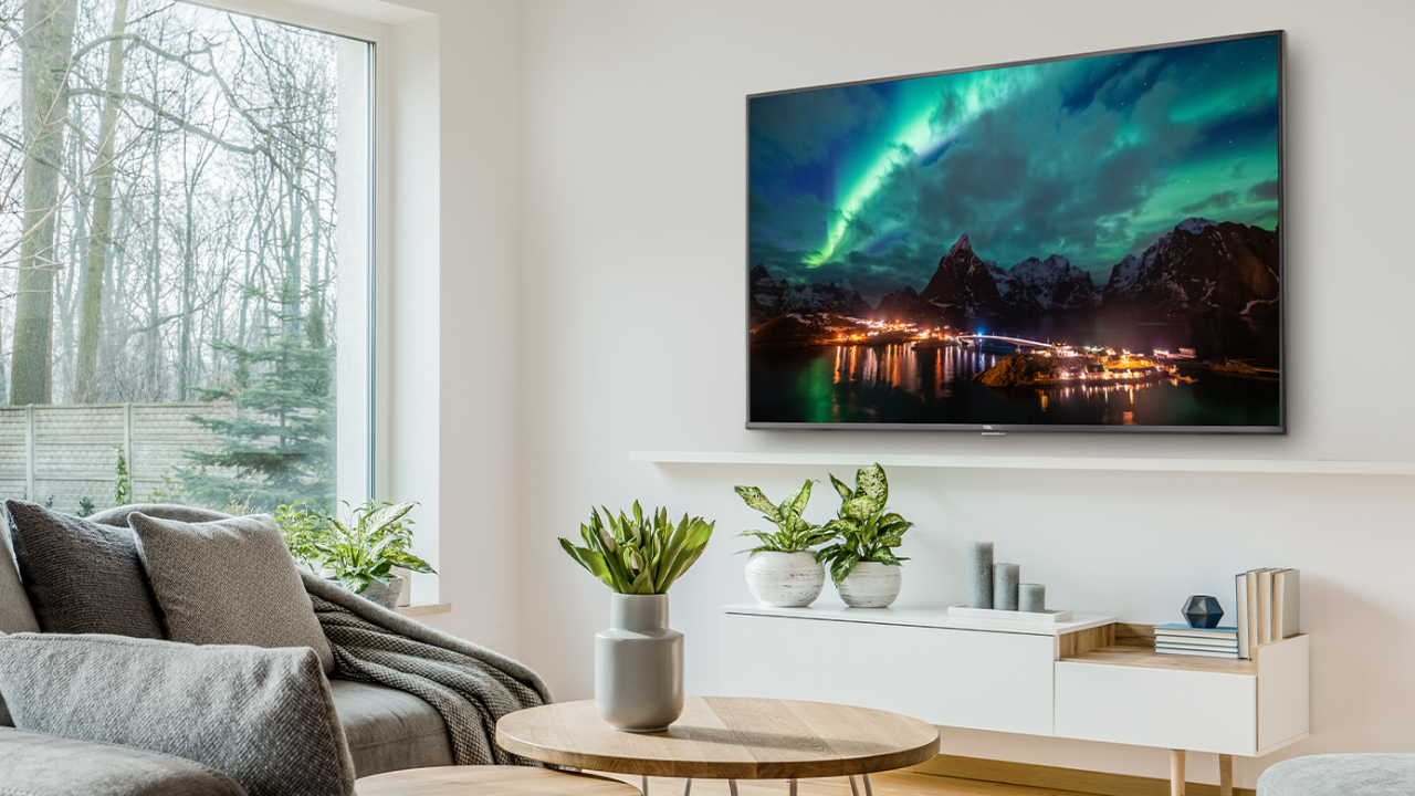 TV mounted on living room wall with couch, table, and plants in the room