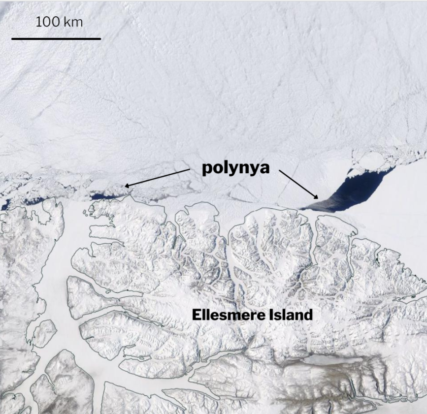 Scientists observed a large polynya (right) north of Ellesmere Island in May of 2020, along with smaller holes (left).