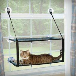 Cat window perch
