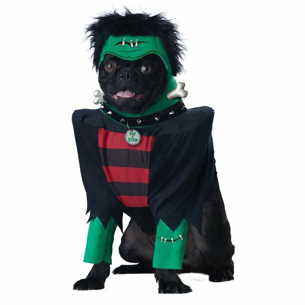 small dog in frankenstein halloween costume
