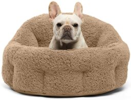 French bulldog sitting in a brown dog bed