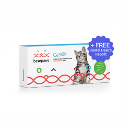 Basepaws cat DNA test and dental health kit