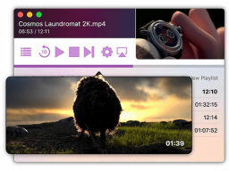 Screen open on video titled "Cosmos Laundromat 2k.mp4"
