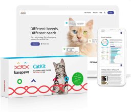 Basepaws cat DNA test