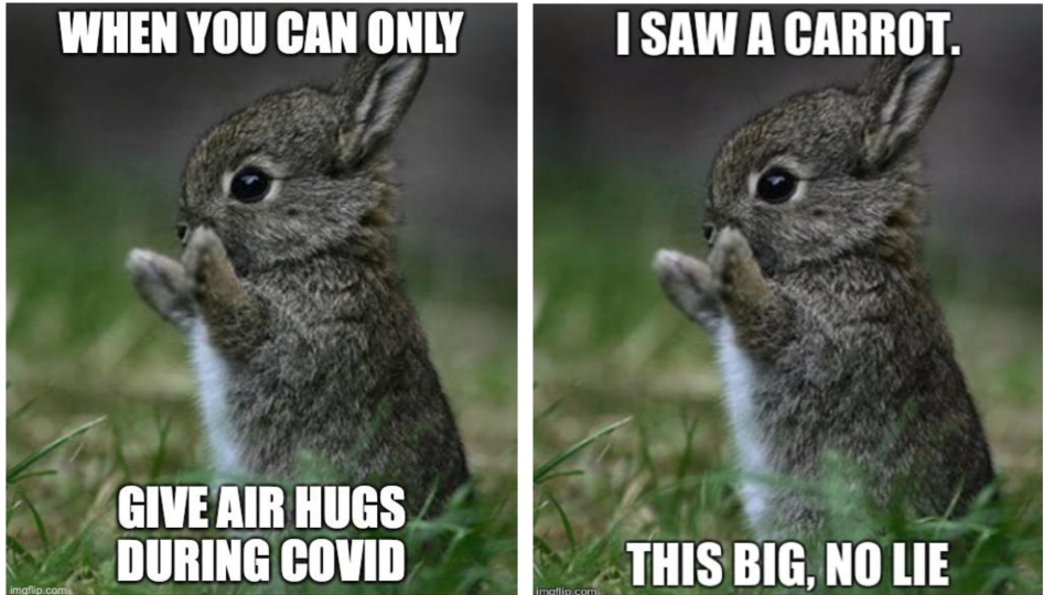 The bunny air hugs COVID-19 meme is a good quarantine joke.